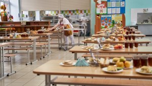 Ерболат Досаев прокомментировал вопрос бесплатного питания для школьников