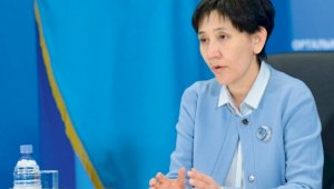 Новую «казахскую визу» начнут выдавать в РК этническим казахам
