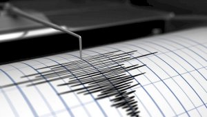 Землетрясение зафиксировано в 342 км от Алматы