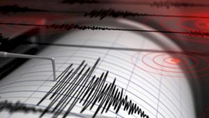 В 350 км от Алматы зафиксировано землетрясение