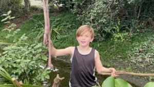 Земляного червя длиной около метра выкопал мальчик в саду