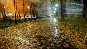 Какой будет погода в Алматы и по области 20 октября