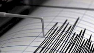 Землетрясение произошло в 372 км от Алматы