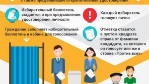 Выборы Президента РК: порядок голосования на избирательном участке
