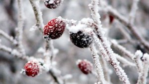 От 10 до 13 градусов мороза прогнозируют синоптики в нескольких областях Казахстана