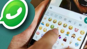 Могут ли персональные данные стать добычей мошенников из-за рассылки картинок в WhatsApp