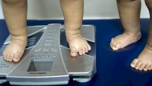 В Казахстане каждый пятый 7-летний ребенок имеет лишний вес
