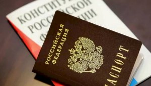 В России предложили лишать приобретенного гражданства за дискредитацию армии
