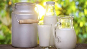 Как изменились цены на молочные продукты в Казахстане