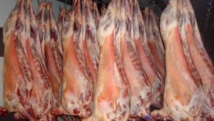 Минсельхоз РК увеличит долю экспорта баранины в арабские страны