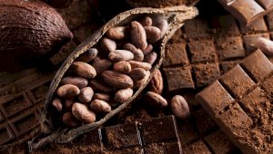 Установлены единые требования к шоколаду, шоколадным изделиям и какао-продуктам для стран ЕАЭС
