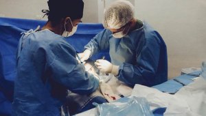 Впервые в Алматы пациенту пересадили искусственное сердце