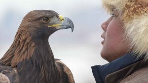 В Алматы прошел республиканский турнир охоты с ловчими птицами