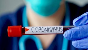 В Казахстане за сутки COVID-19 заразился 231 человек