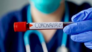 Более 200 казахстанцев заразились коронавирусом за сутки