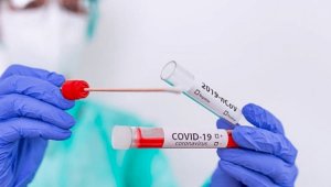 За сутки в РК зарегистрировано 116 случаев заболевания COVID-19 и ковидной пневмонией