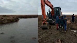 В Атырауской области в каналы запустили воду для скота