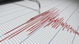 Недалеко от Алматы произошло землетрясение