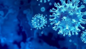 За сутки коронавирусом заболели 56 казахстанцев
