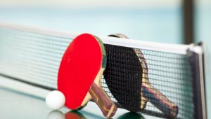 Казахстанец стал бронзовым призером Кубка Австрии по настольному теннису