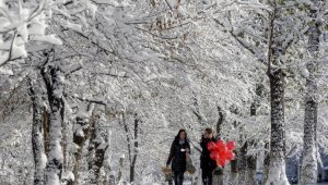 Какая погода ожидает алматинцев 18 января
