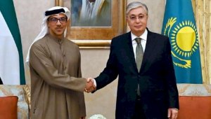 Президент РК встретился с заместителем Премьер-министра ОАЭ