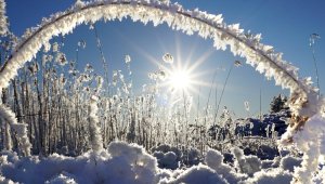 Погоду без осадков прогнозируют синоптики в Алматы и области