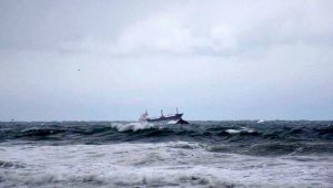 Грузовое судно с 22 членами экипажа на борту затонуло у берегов Японии