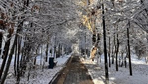 В госсобственность вернули парк «Южный» в Алматы
