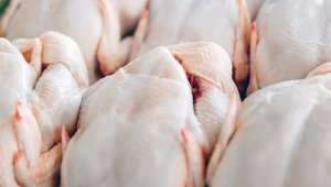 В Казахстане запретили вводить пищевые добавки в мясо птицы
