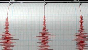Землетрясение магнитудой 5,4 произошло на юге Казахстана