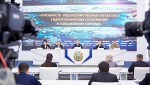 О паводковой ситуации в Казахстане рассказал вице-министр экологии