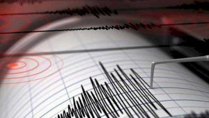 Землетрясение зафиксировано в 574 км от Алматы