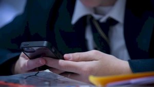 Черный список запрещенных сайтов для школьников создадут в Алматы