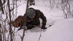 Лайфхаки от казахстанских спасателей: как выжить в зимнем лесу