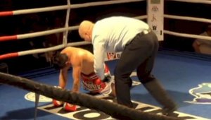 Казахстанский спортсмен одолел никарагуанского «Бычка» на вечере бокса в Чехии
