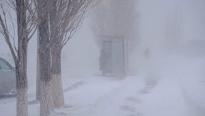 Плюсовую температуру и туманную погоду прогнозируют синоптики в Алматы и области