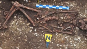 Археологи обнаружили древние свидетельства верховой езды