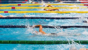 Чемпионат по плаванию пройдет в Алматы