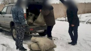 149 килограммов рыбы незаконно перевозил житель Павлодара