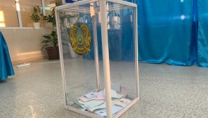 Общая явка избирателей на 14.10 составила 46,84 процента – ЦИК РК