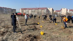 Более 10 тысяч деревьев будет высажено в Алматы весной