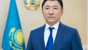 Советником Президента РК назначен Болат Акчулаков
