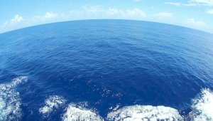 Поверхность Мирового океана нагрелась до рекордного значения