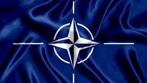 В США предложили пригласить в НАТО еще три страны