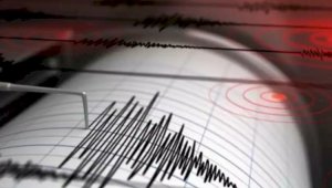 Казахстанские сейсмологи зафиксировали землетрясение в Китае