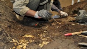 «Золотого человека» обнаружили в могильнике Бозай в Абайской области