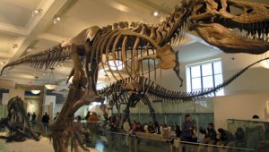 На торги выставлен полный скелет самого известного динозавра