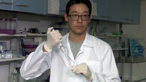 Казахстанец разработал технологию для восстановления зубной эмали