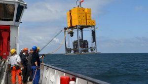 «Перепись океана»: ученые ищут новые виды рыб и морских животных